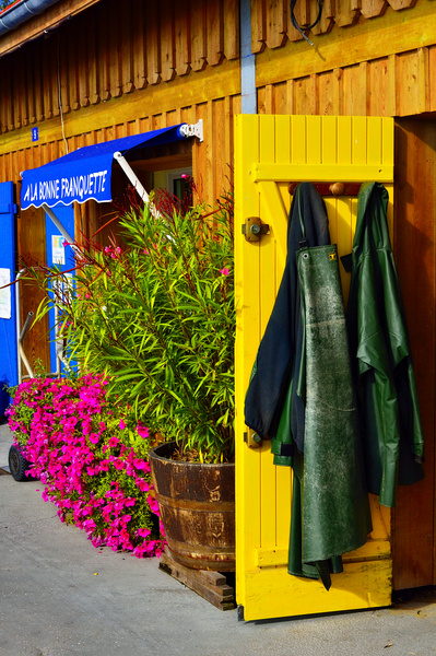 Cap Ferret #52